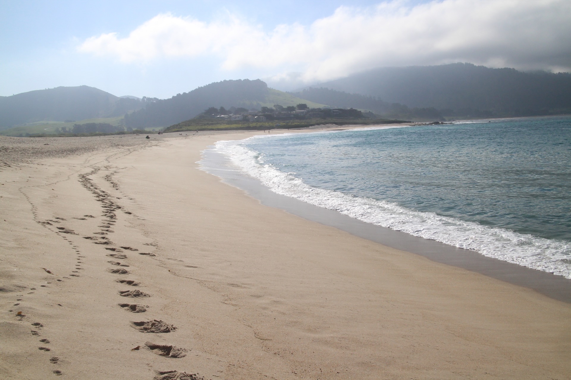 Coastal Beach