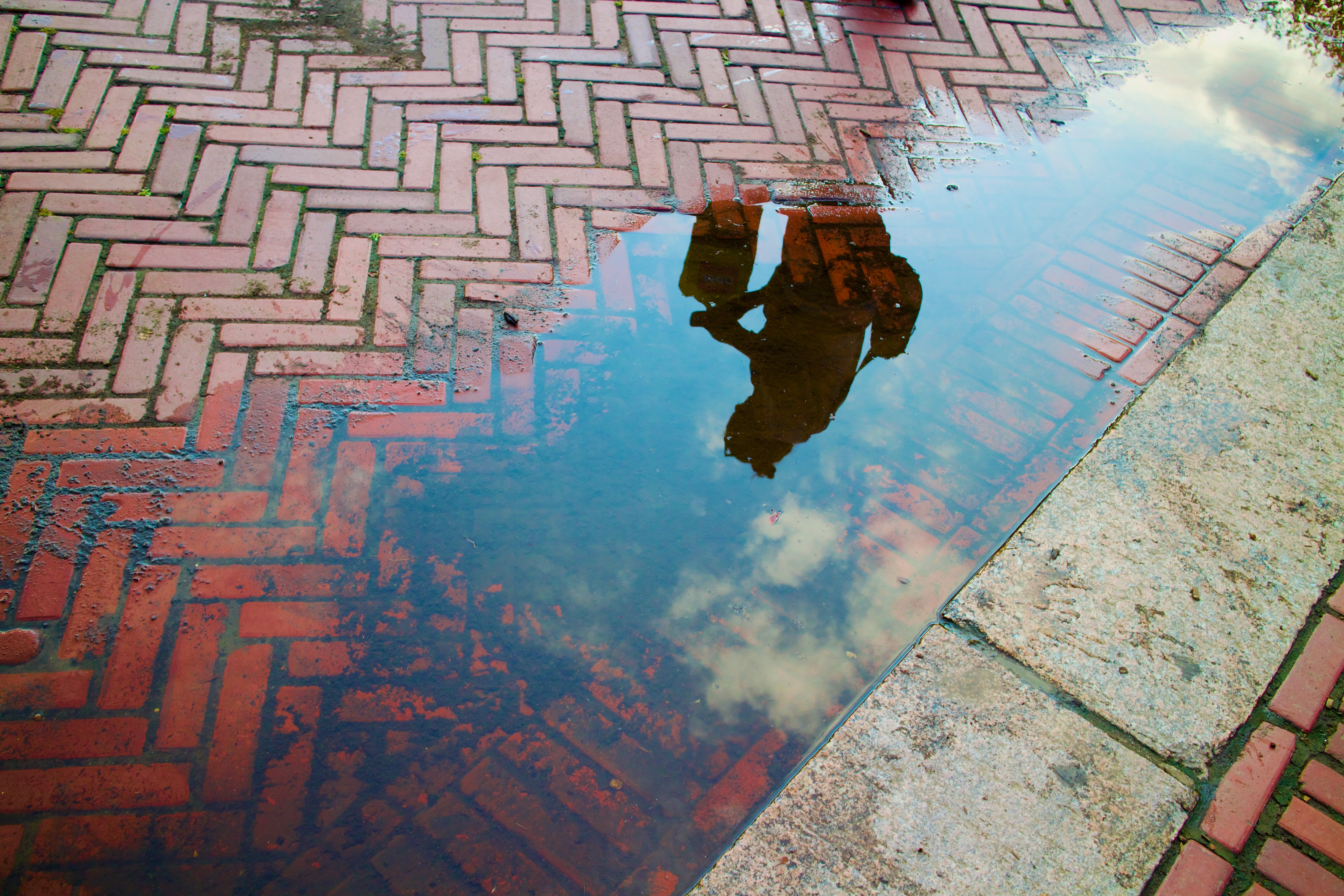 Puddle Reflection