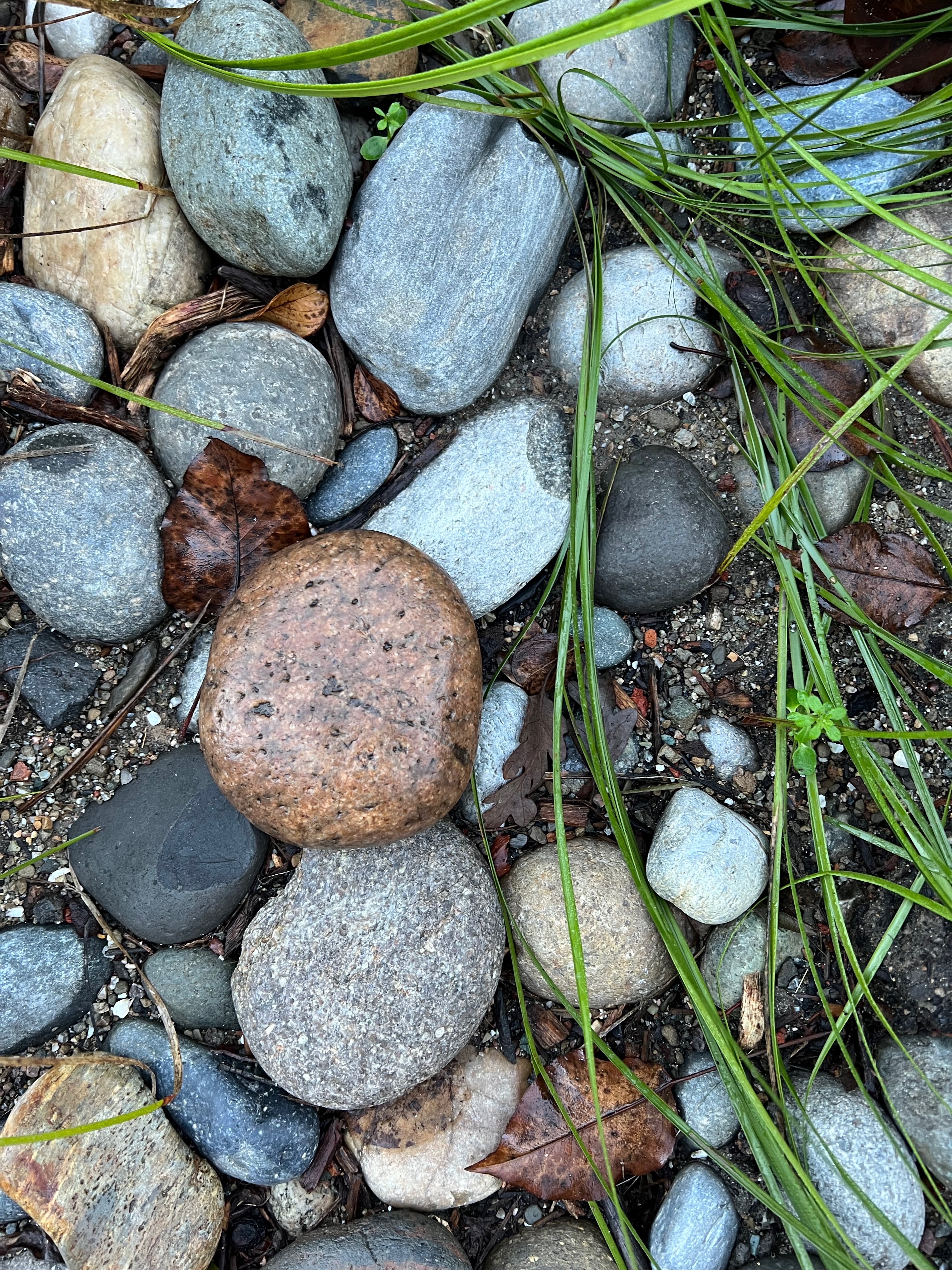 River Stones