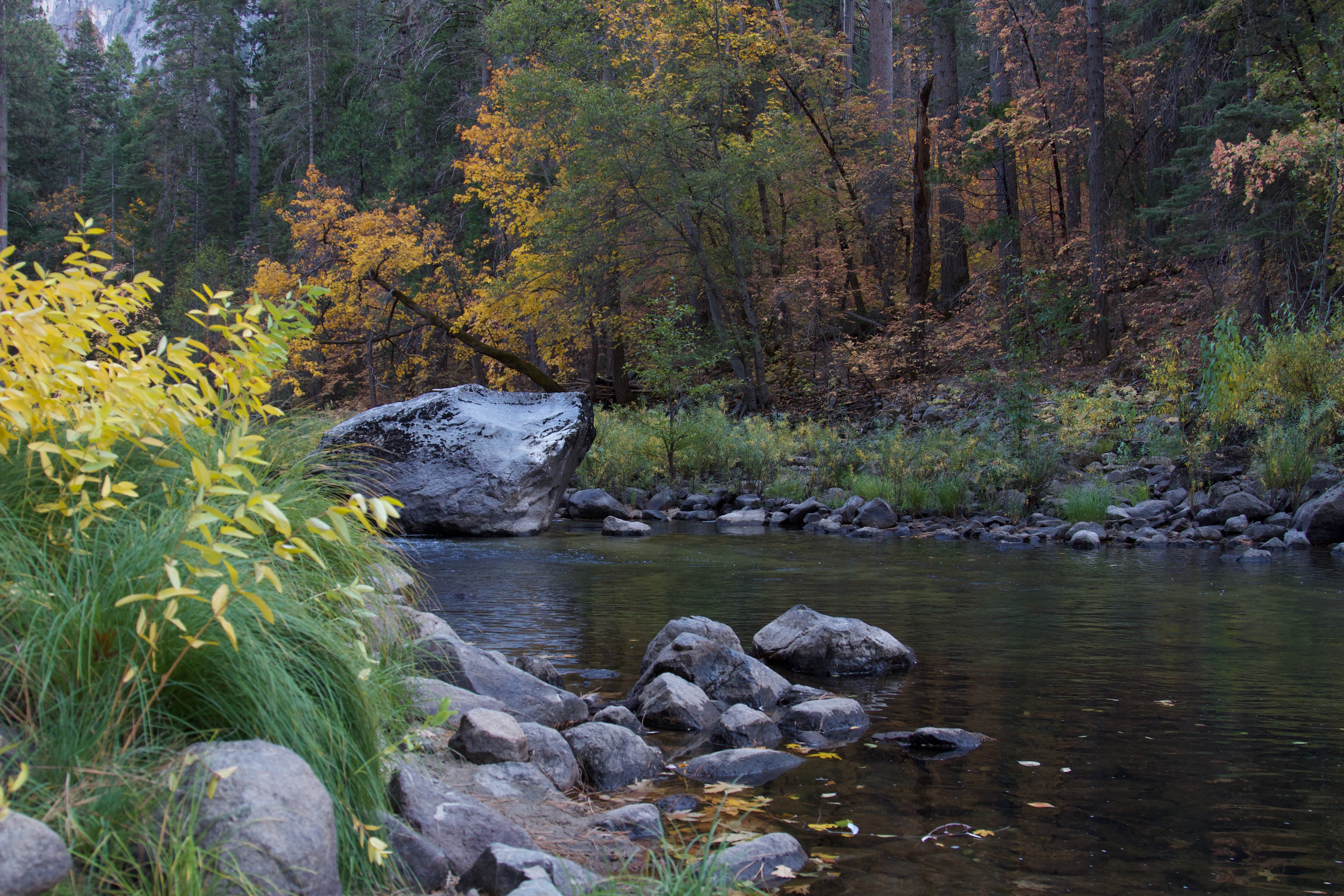 Autumn River
